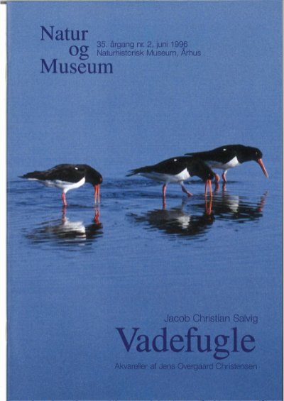 Vadefugle